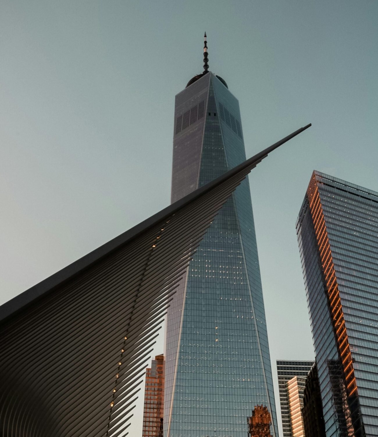 pexels-sebastiaan9977-1840806