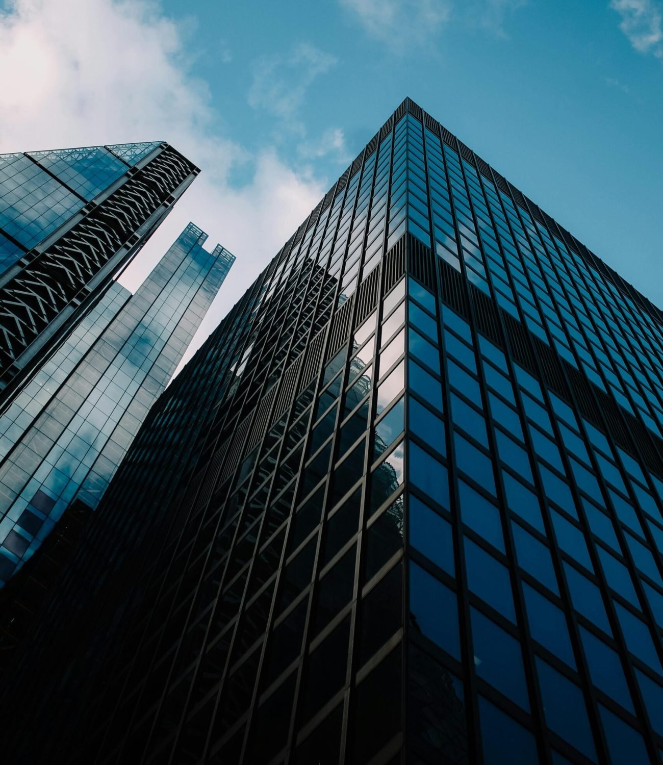 pexels-sofia-marquet-453708414-18504087